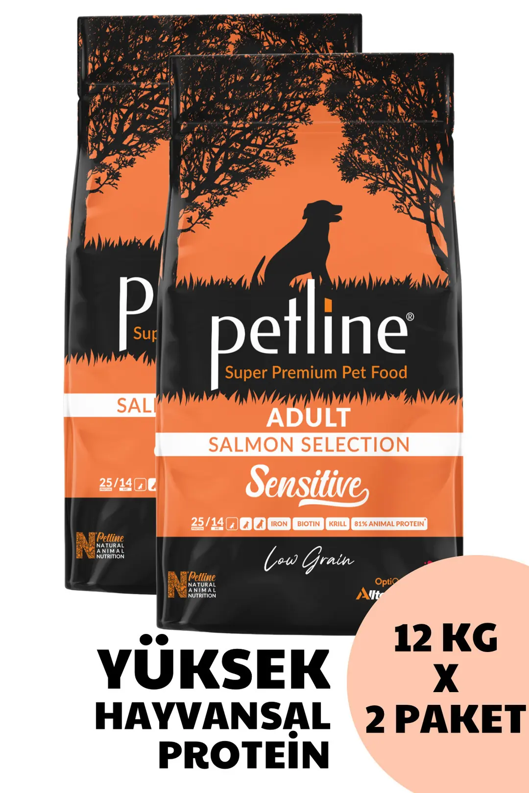 Tüy Ve Deri Sağlığı Için Özel Formüllü- Somonlu Yetişkin Köpek Maması 24kg (2X12KG)
