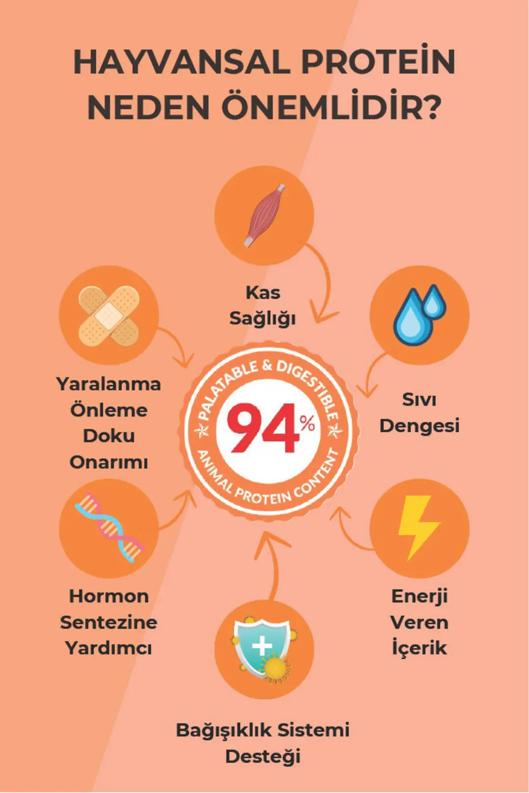 Omega 3&6 Deposu, Glukosaminli, Probiyotikli Yavru ve Yetişkin Kedi Maması 20kg - Lovely