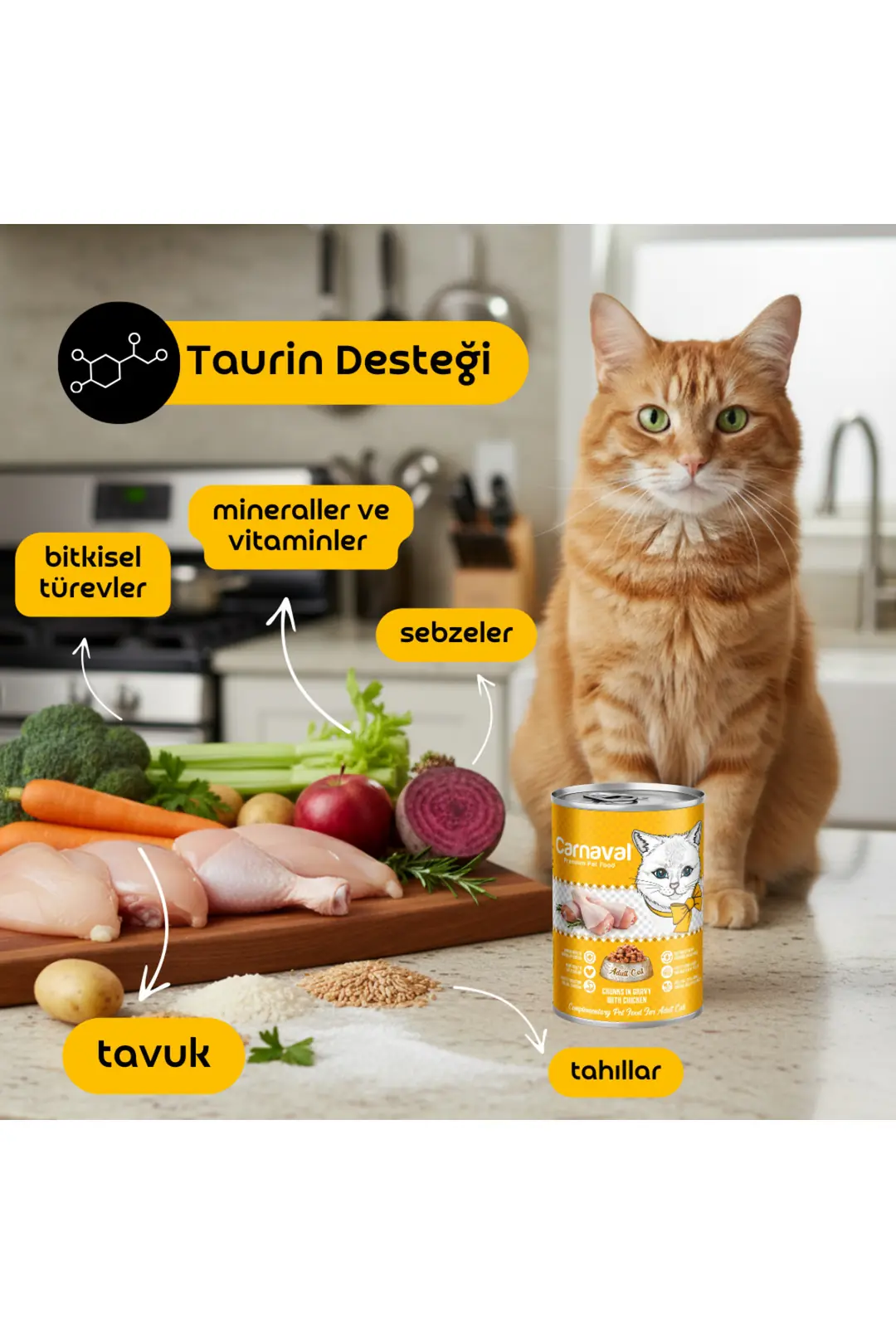 Tavuklu Kedi Konservesi 400 Gr X 1 Adet