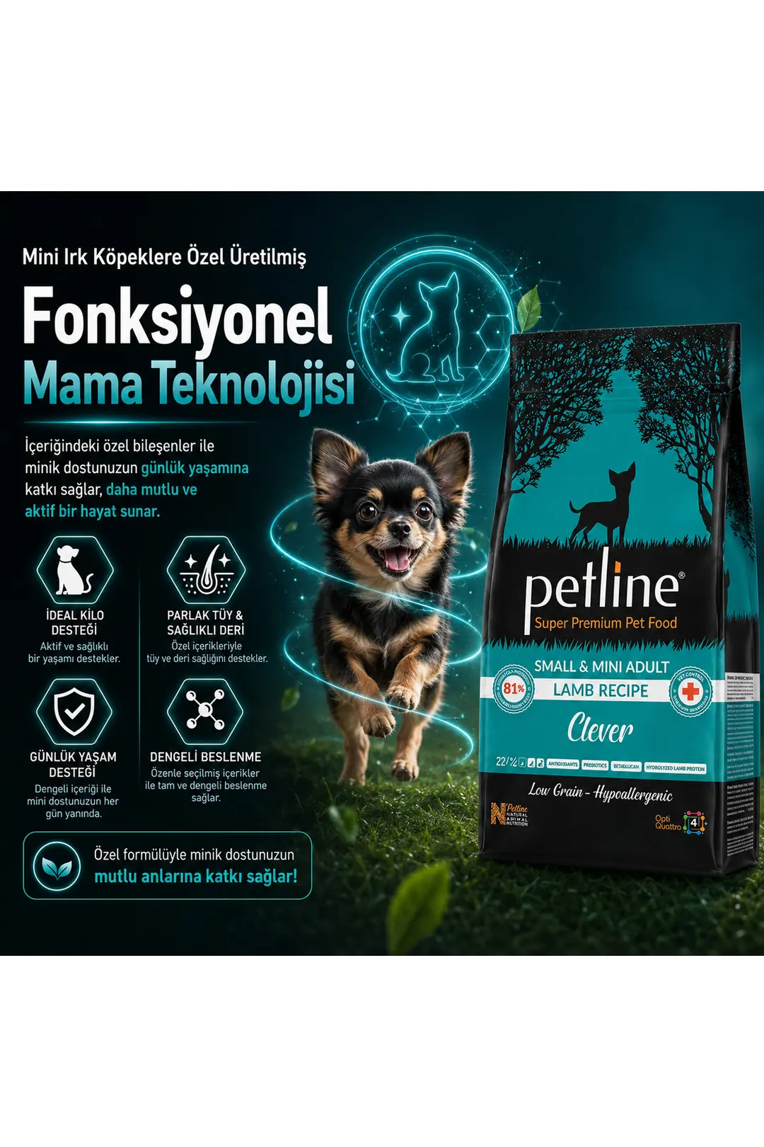 Mini Irk Köpeklere Özel Geliştirilmiş Kuzu Etli Köpek Maması 6 Kg Clever