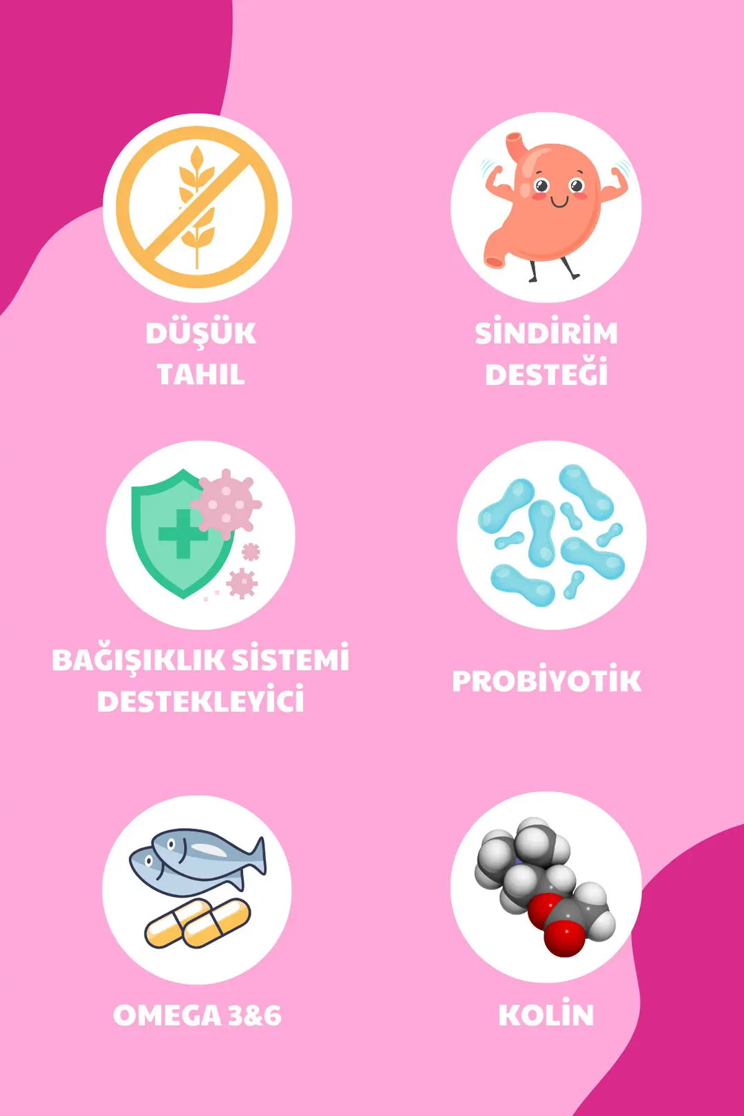 Probiyotik ve Omega3&6 Zengini Yetişkin Köpek Maması 12kg - Legend
