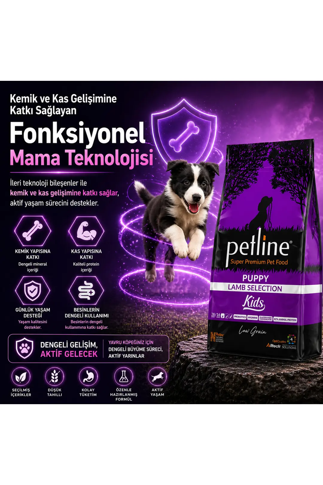 Kemik Ve Kas Gelişimini Destekleyici Kuzu Etli Yavru Köpek Maması 12 Kg - Kids